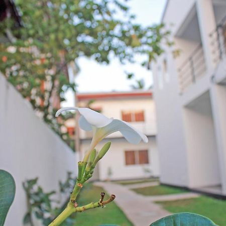 The Anchorage Holiday Apartments - Negombo Eksteriør billede