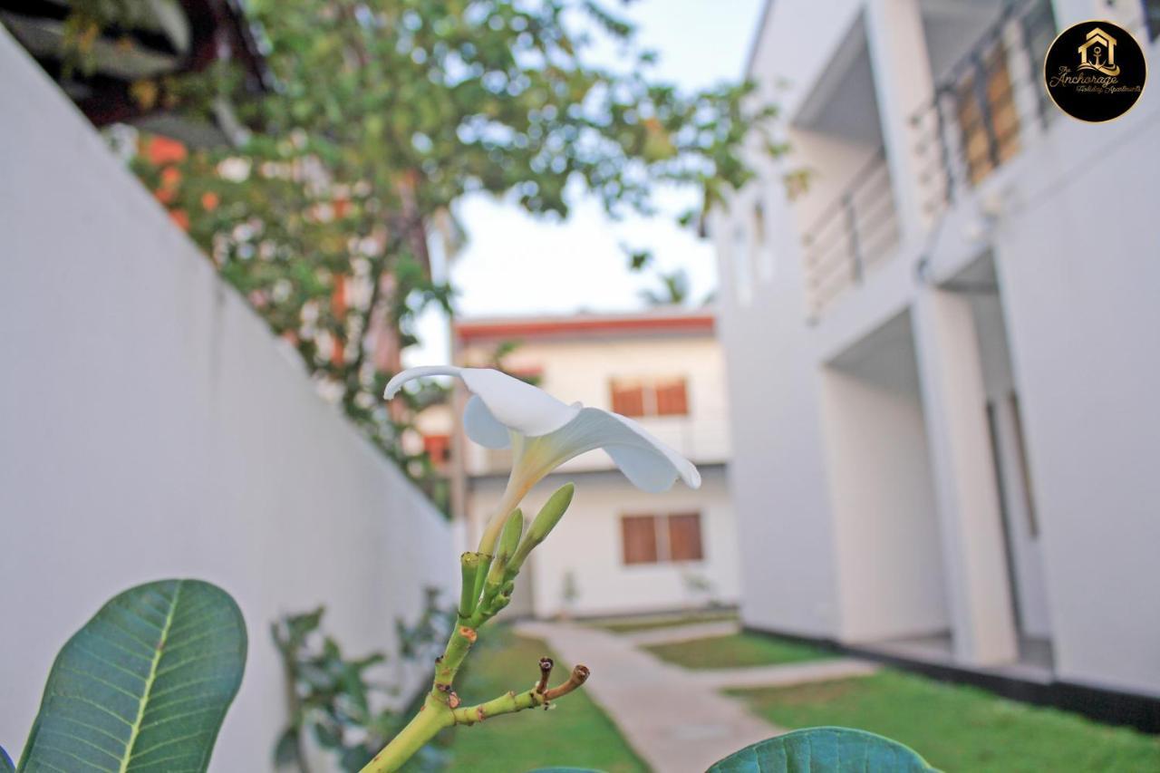 The Anchorage Holiday Apartments - Negombo Eksteriør billede