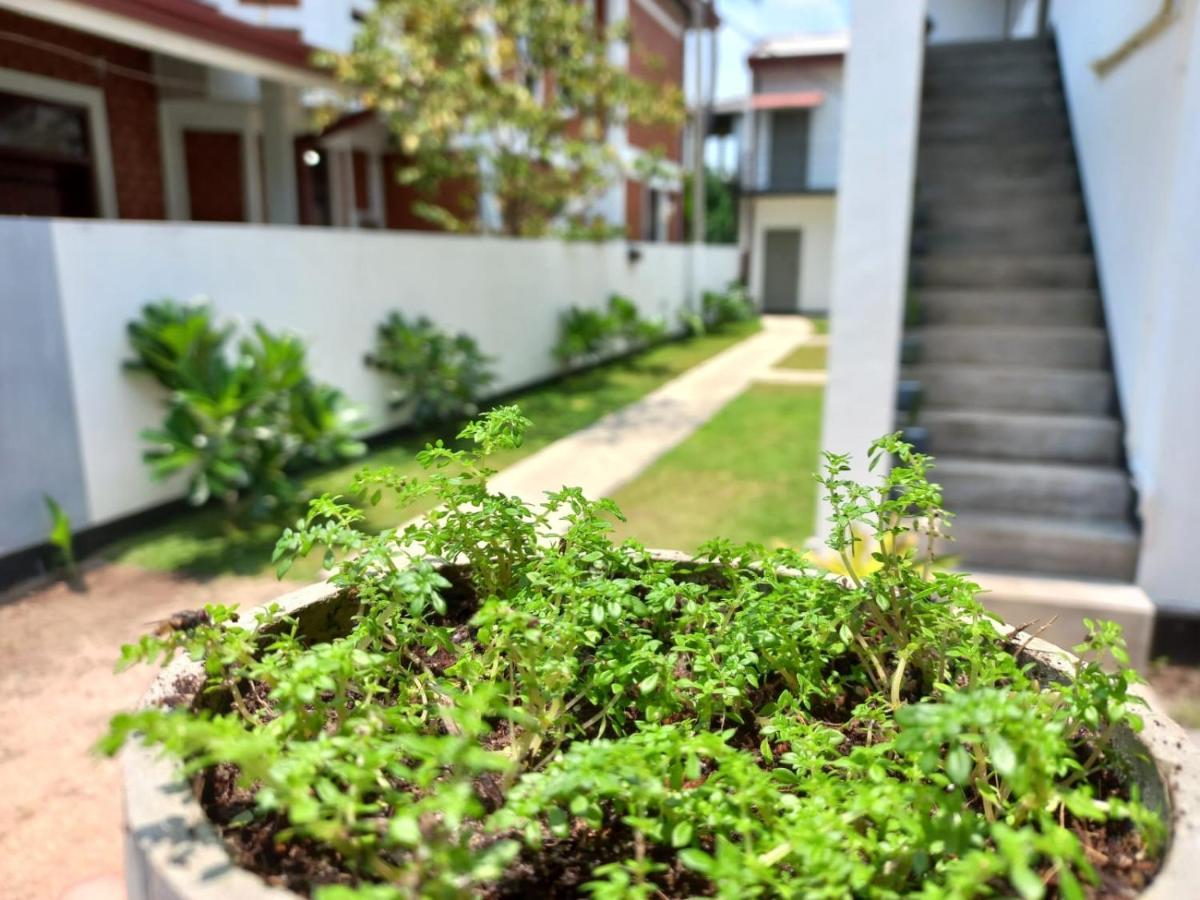 The Anchorage Holiday Apartments - Negombo Eksteriør billede